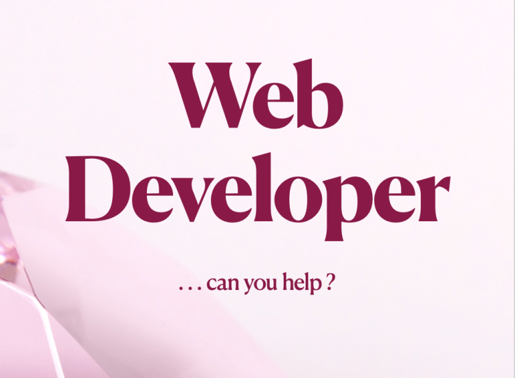 We need a Web Developer